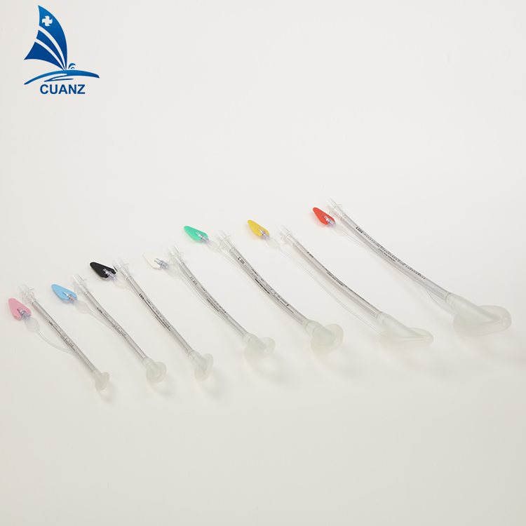 Artificial tracheaenhanced laryngeal mask Laryngeal mask